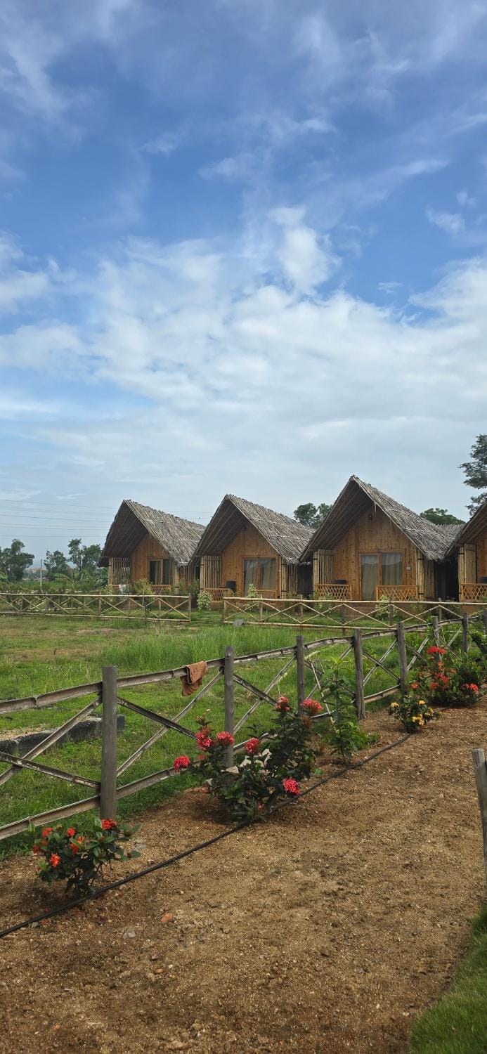 Property building, Natural landscape, Garden, Garden view