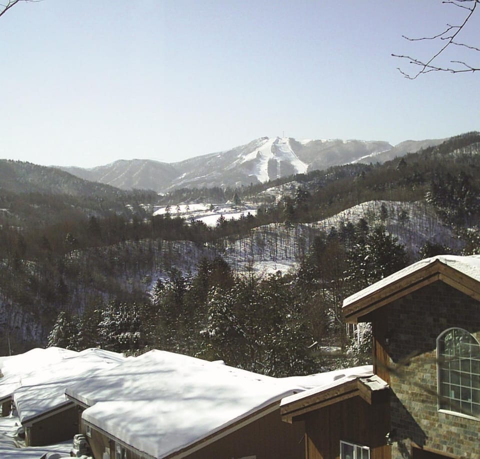 Hue 700 Chalet in South Korea