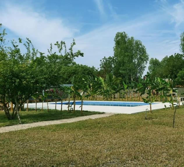 Garden, Garden view, Pool view, Swimming pool