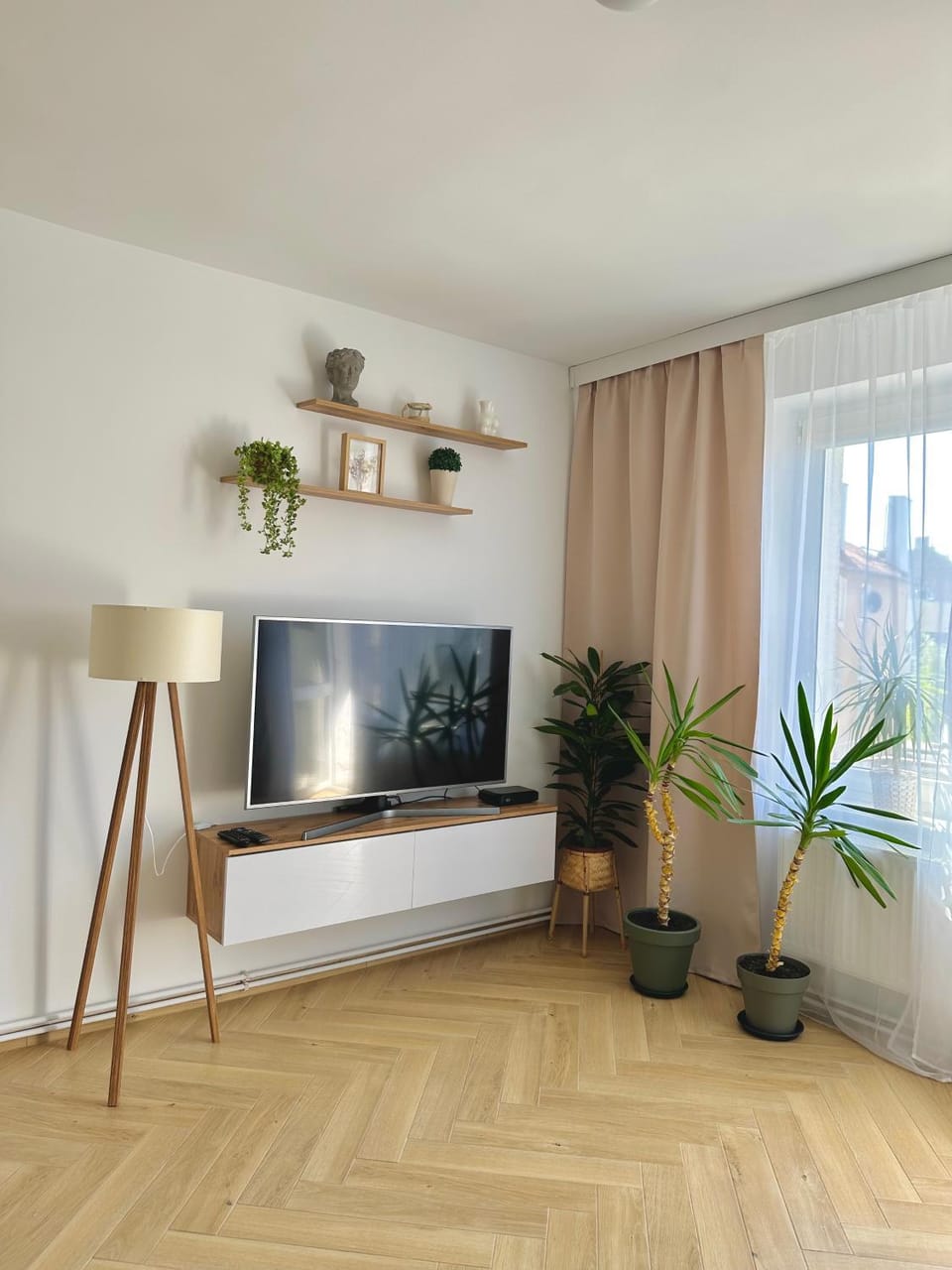 TV and multimedia, Living room