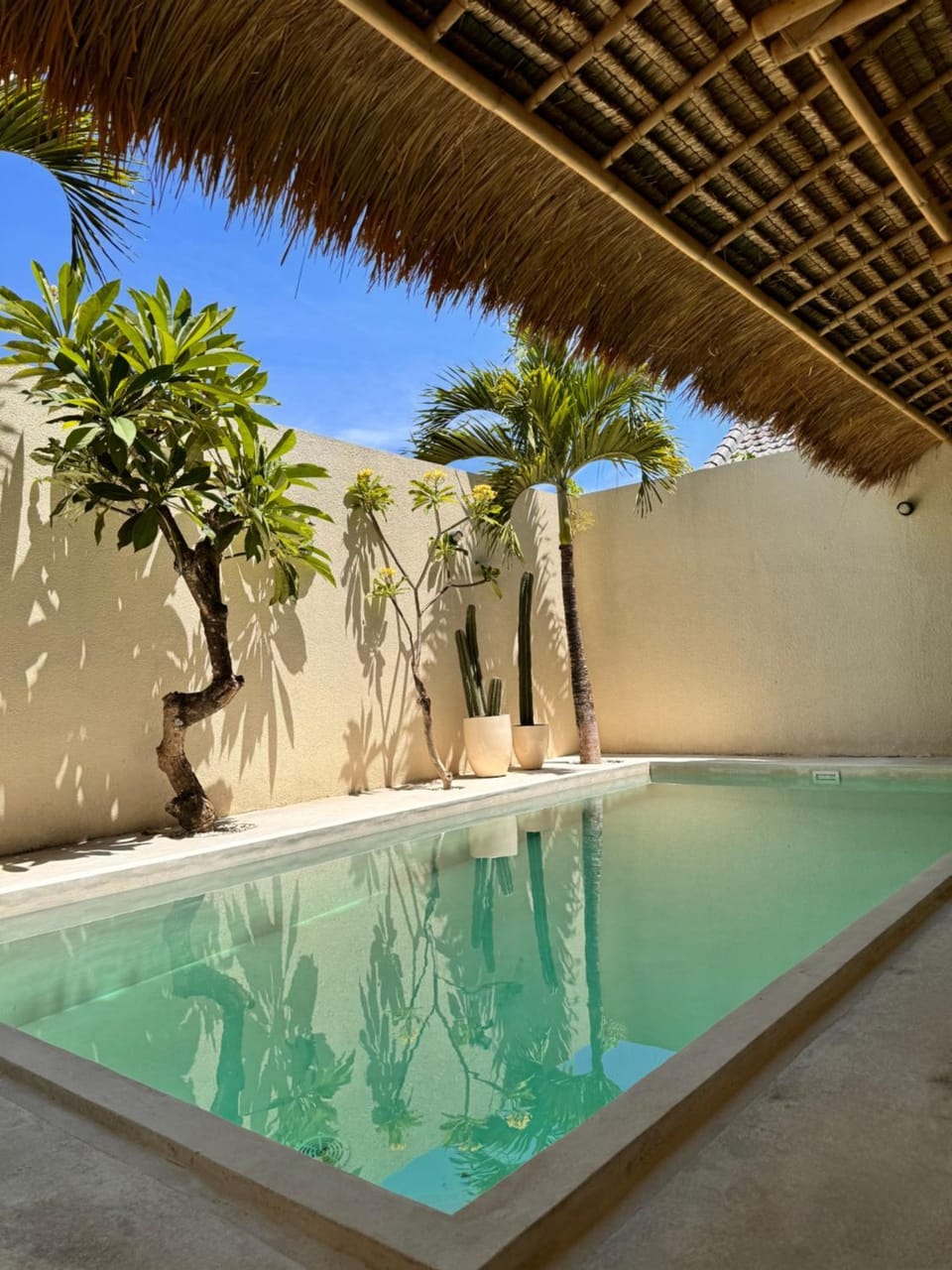 Garden, Swimming pool