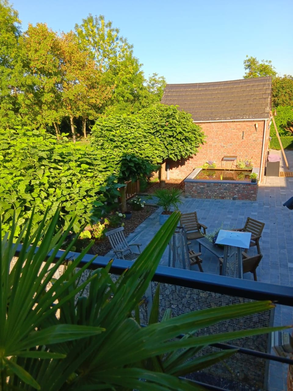 Garden view