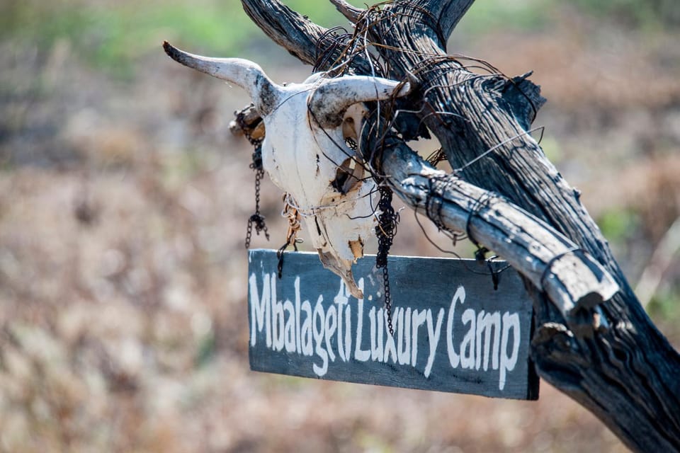 Mbalageti Serengeti Nature lodge in Kenya