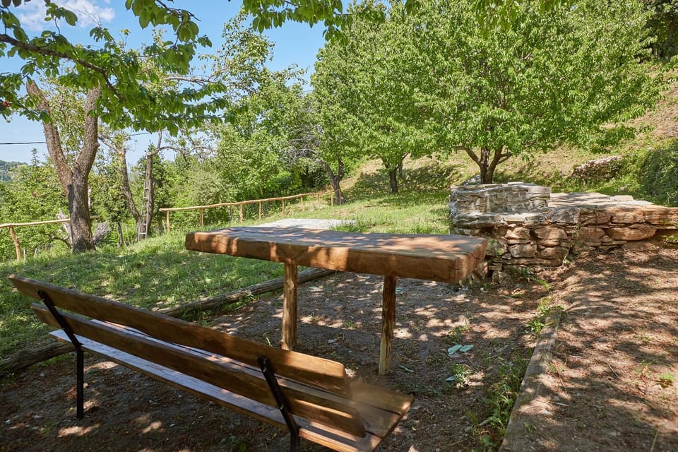 Spring, Garden, Seating area