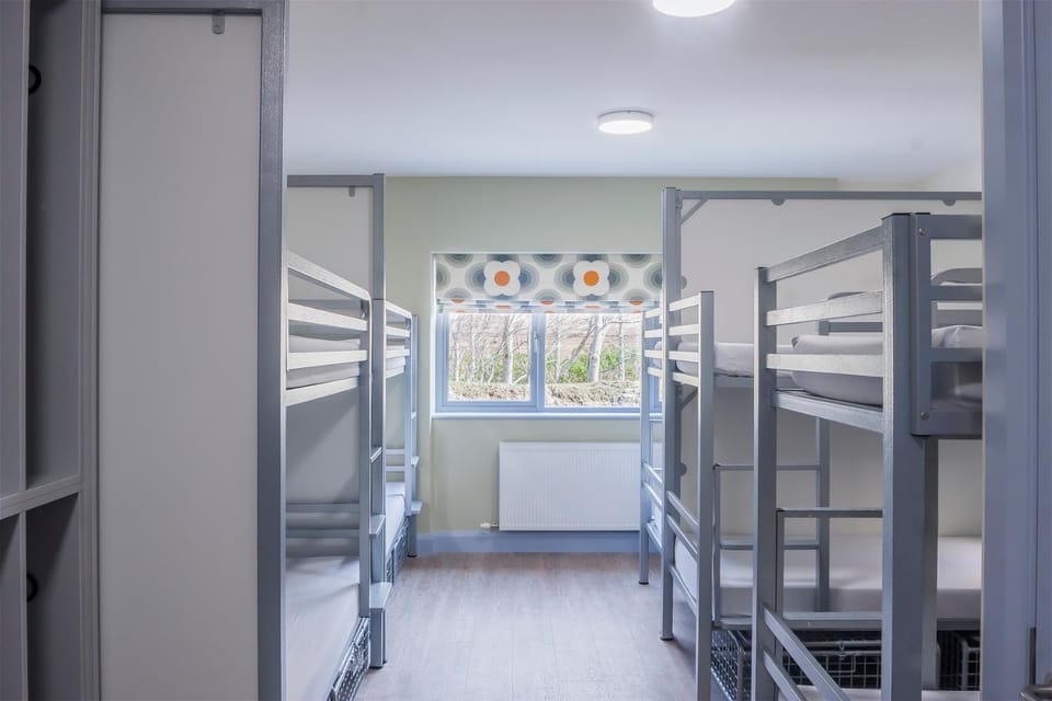 bunk bed