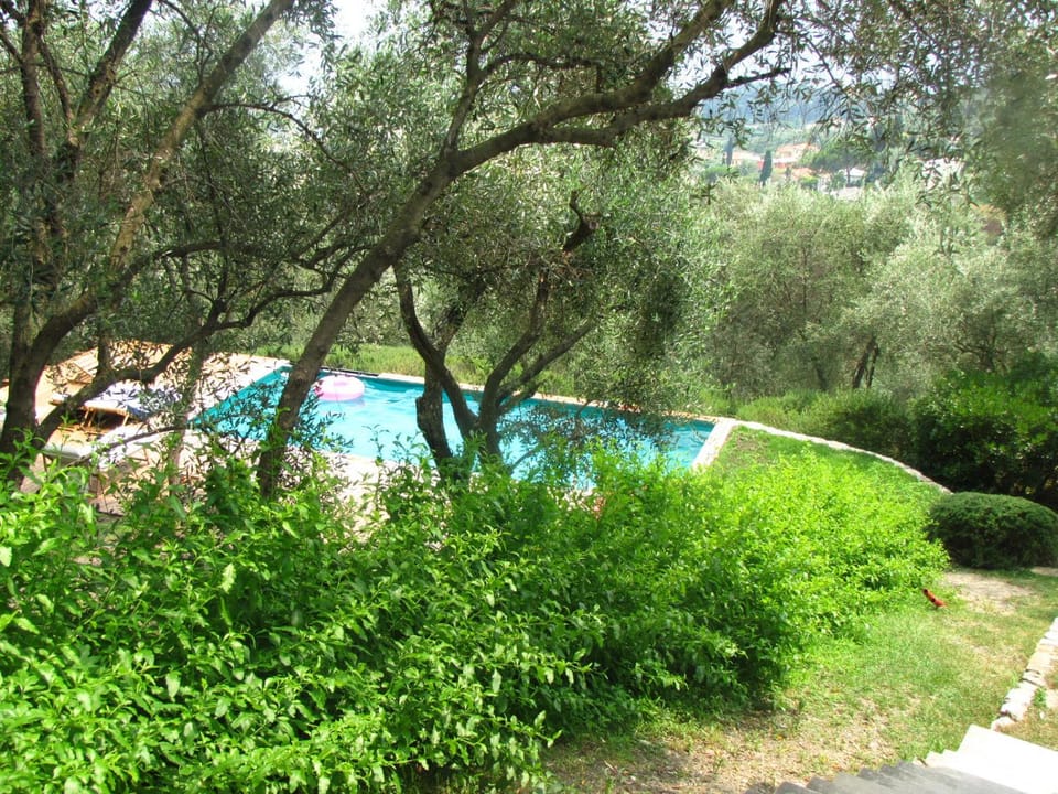 Spring, Day, Natural landscape, Garden, Garden view, Pool view, Swimming pool