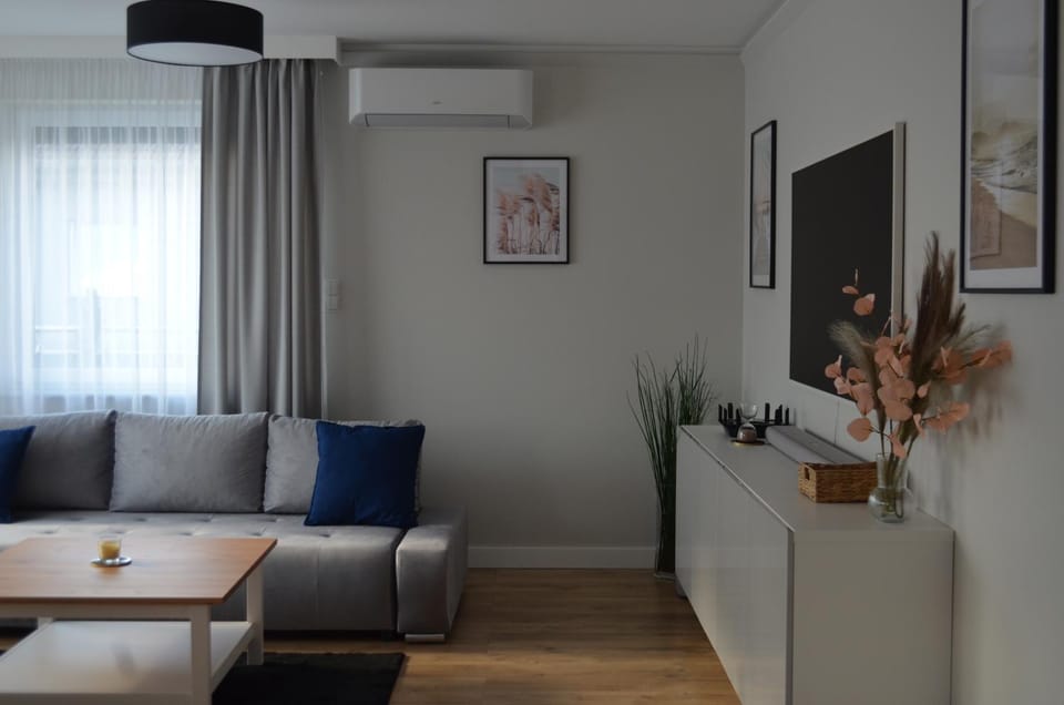 TV and multimedia, Living room, Seating area, air conditioner