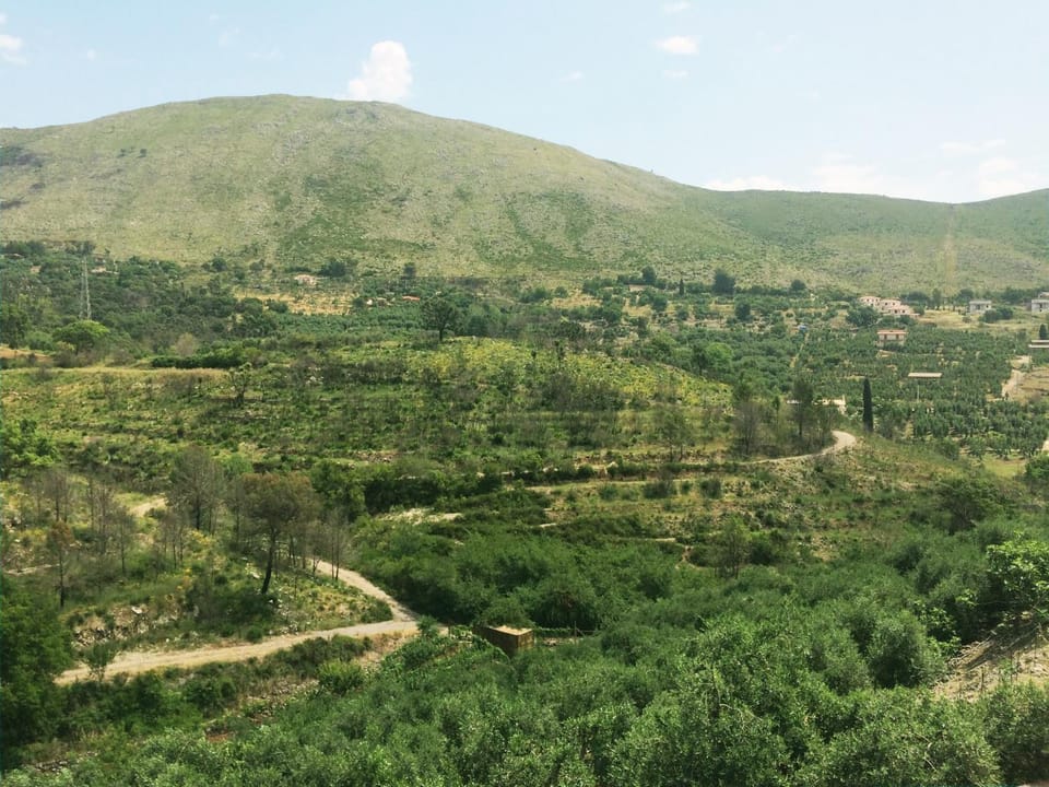 Mountain view