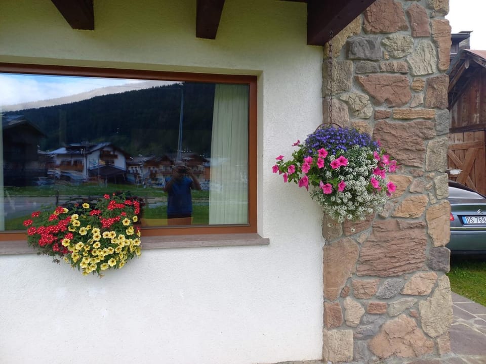 Casa Dolores Apartment in Friuli-Venezia Giulia