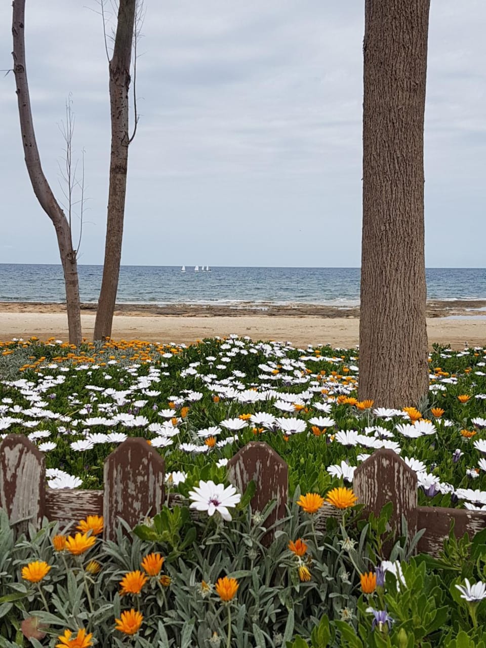 Natural landscape, Beach