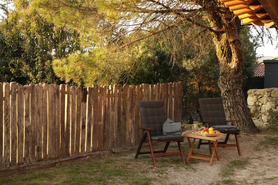 Patio, Garden