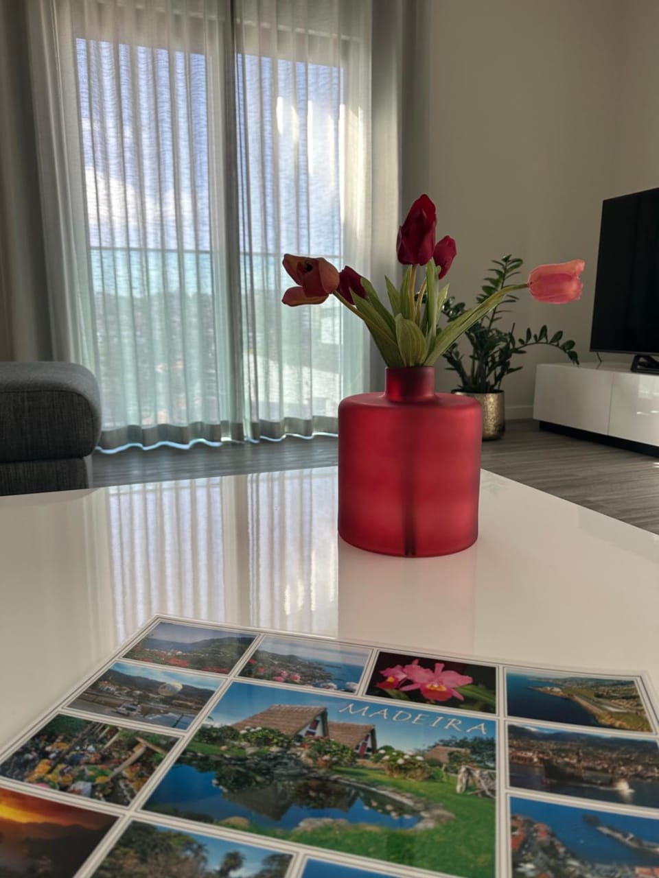 Luxury Family Apartment near Funchal Centre Apartment in Funchal