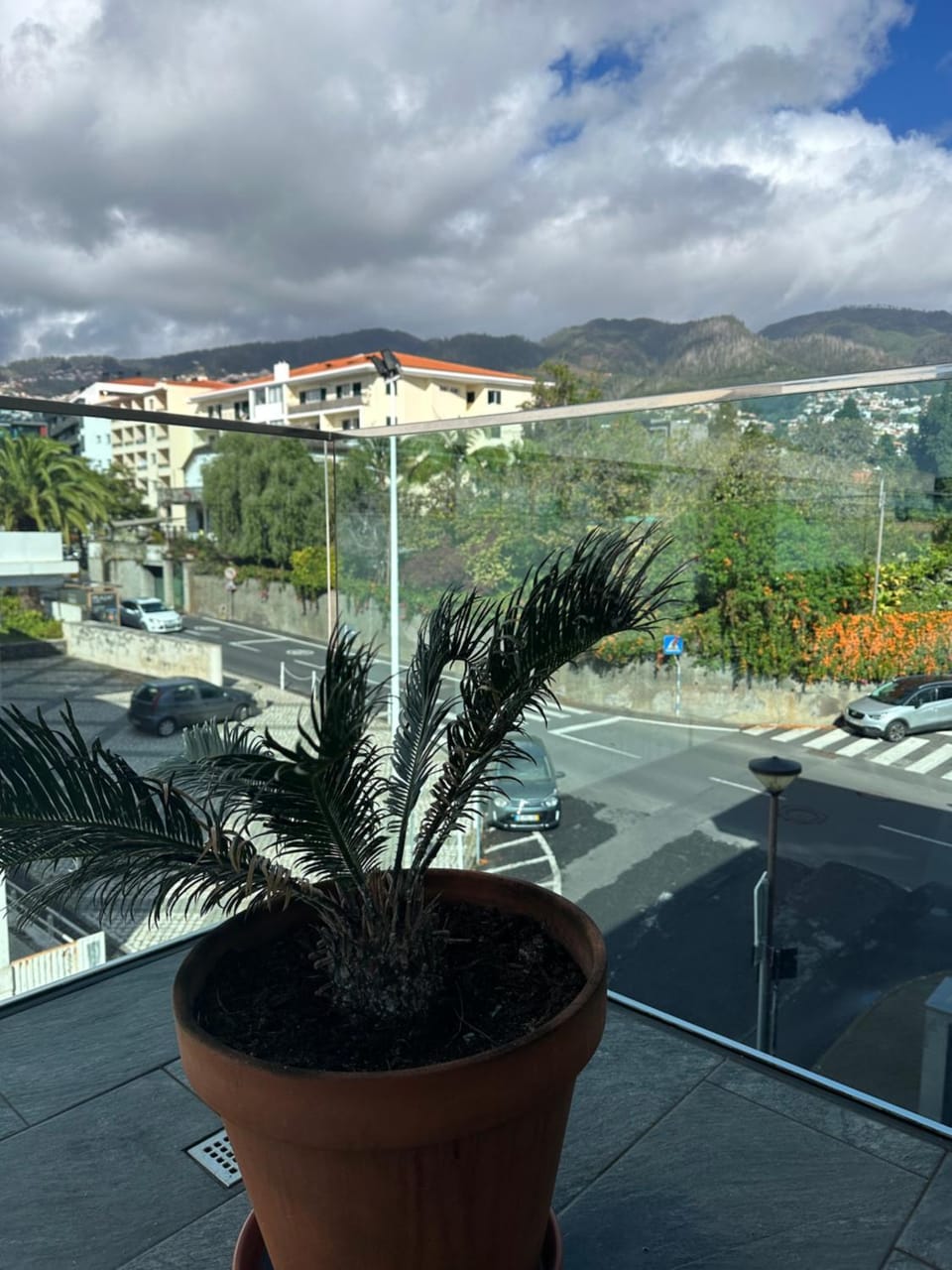 Royal Palace I Apartment in Funchal