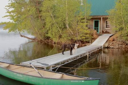 Spring, Natural landscape, Activities, Lake view