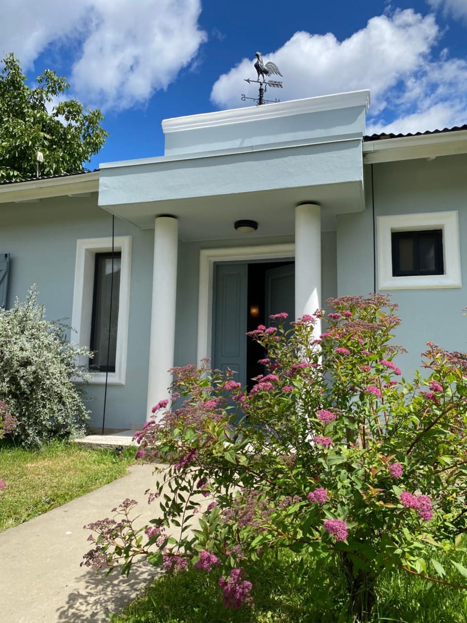 Garden view