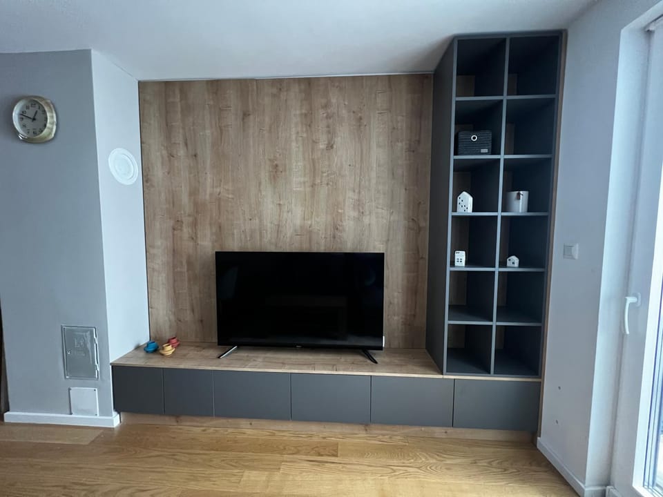 TV and multimedia