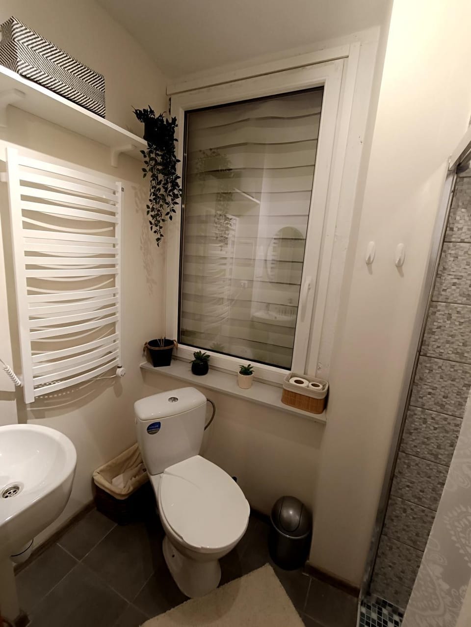 Shower, Toilet