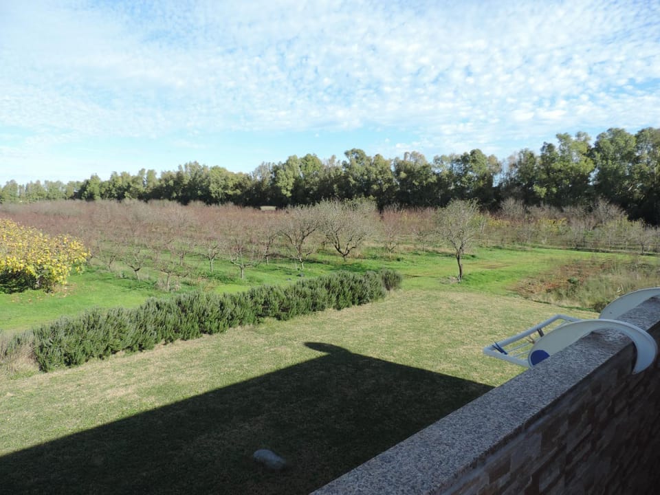 Garden, Garden view