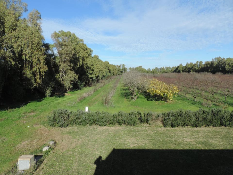 Natural landscape, Garden