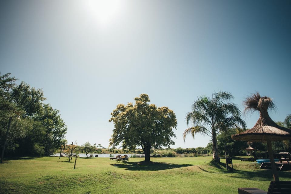 Natural landscape