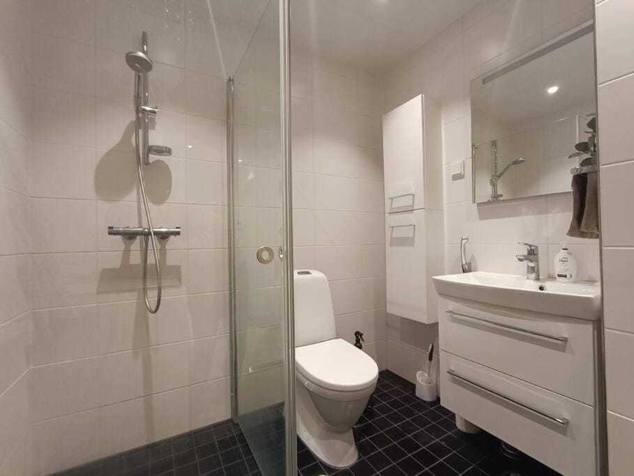 Shower, Toilet, Bathroom, towels