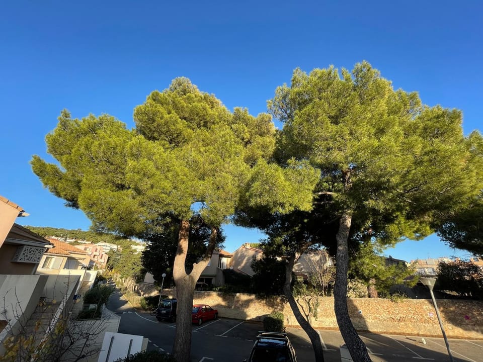 Appartement 2 pièces avec climatisation, terrasse et parking près des plages - FR-1-338-546 Apartment in Occitanie