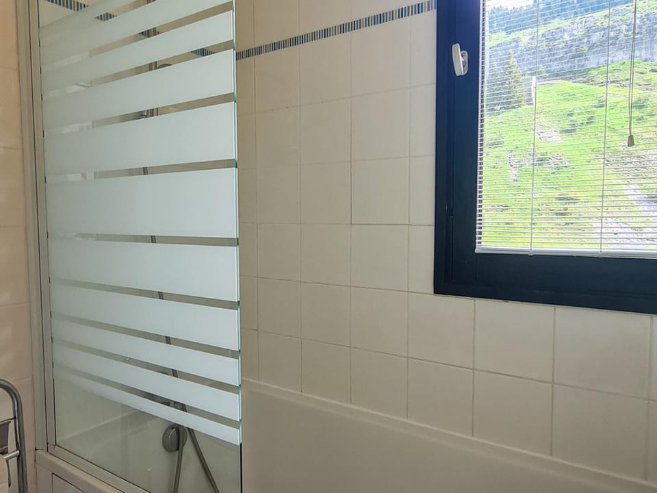 Studio lumineux balcon ski aux pieds - 4 pers. - FR-1-425-223 Apartment in Arâches-la-Frasse