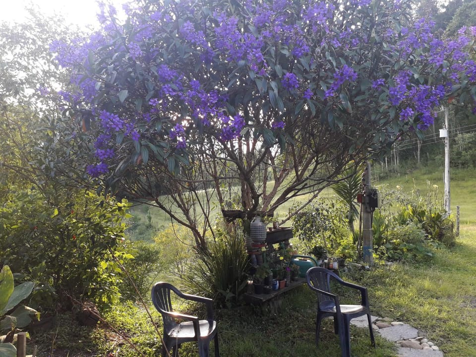 Sítio Vó Leonidia - Turismo Rural Vacation rental in State of Santa Catarina