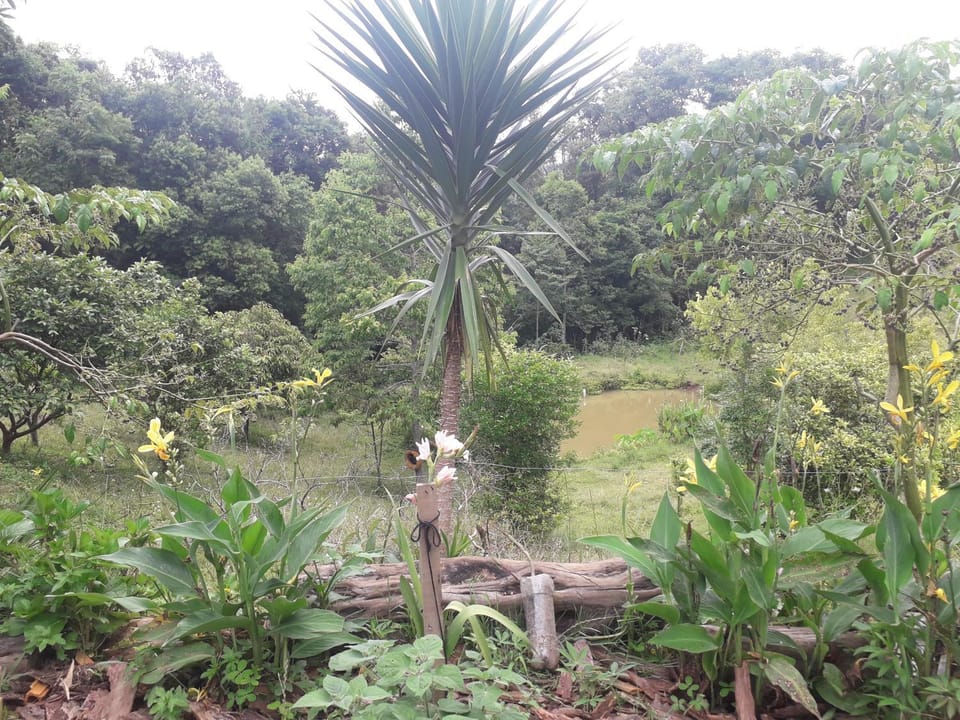 Natural landscape