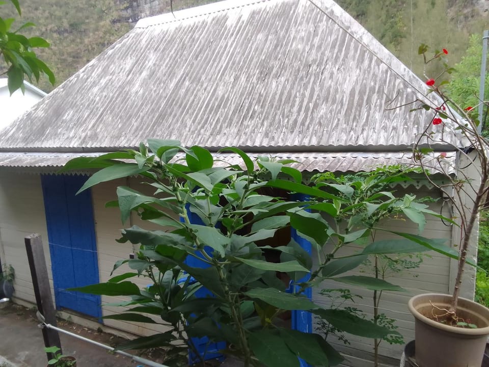 La rose des Bois Vacation rental in Réunion