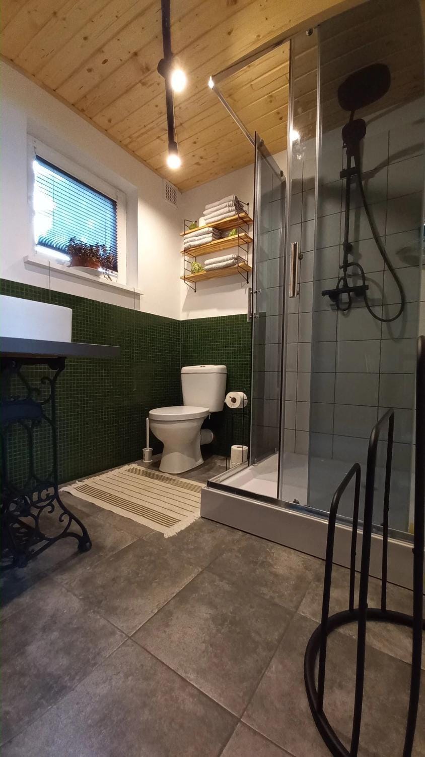 Shower, Toilet, Bathroom