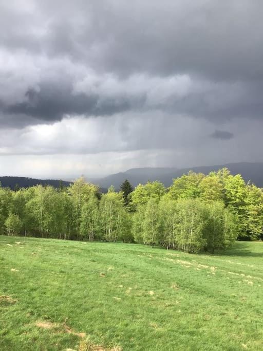 Spring, Natural landscape, Mountain view