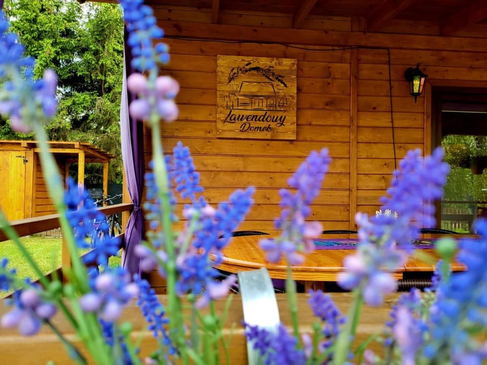 Lawendowy Domek Mazury House in Lithuania