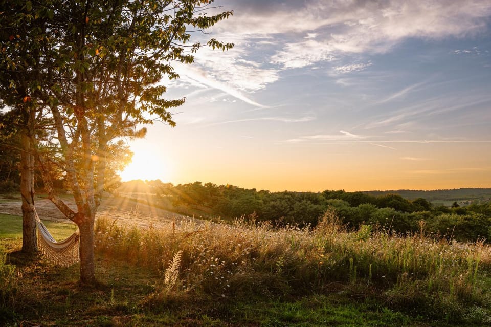 Day, Natural landscape, Garden, Sunset