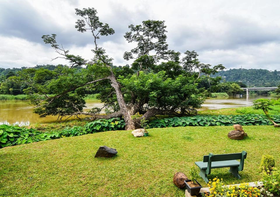 Garden, Seating area, Garden view, Mountain view, River view