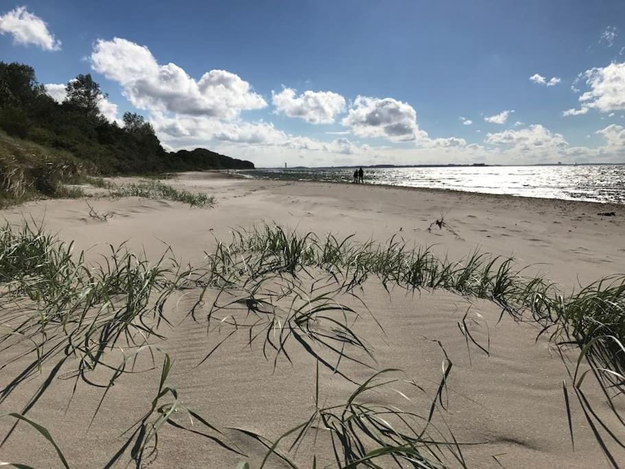Reetdachhaus Seasons mit Kamin & Sauna House in Mecklenburg-Vorpommern, Germany