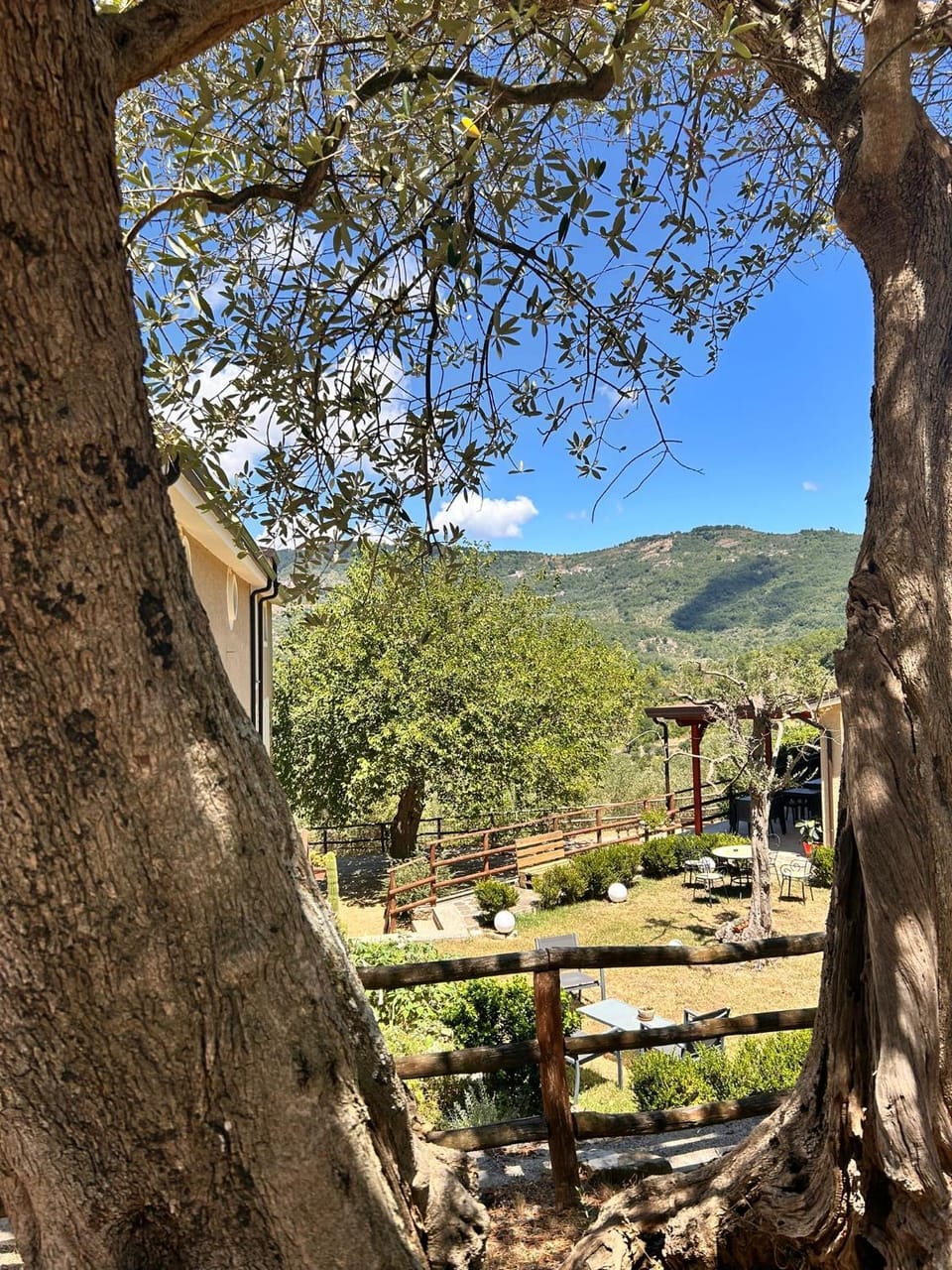 Agriturismo Nonno Ninuccio Farm Stay in Campania