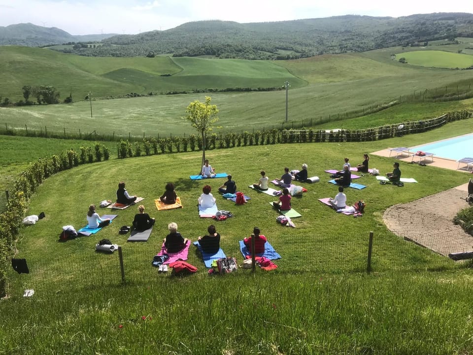 Day, Garden, Garden view, Swimming pool, Swimming pool, group of guests