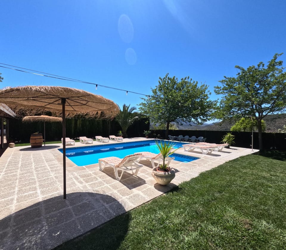 Garden, Swimming pool, sunbed