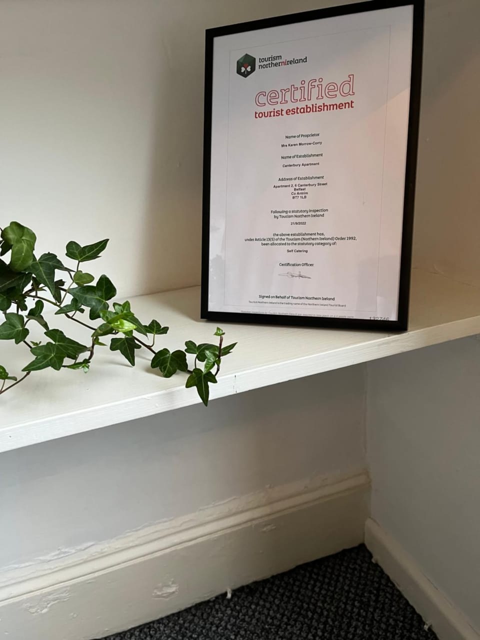 Elderberry Apartment Apartment in Belfast