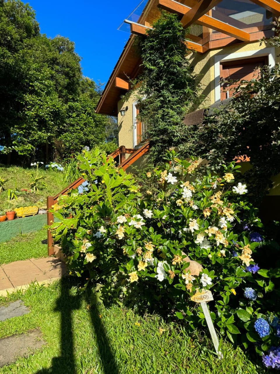 Garden, Garden view