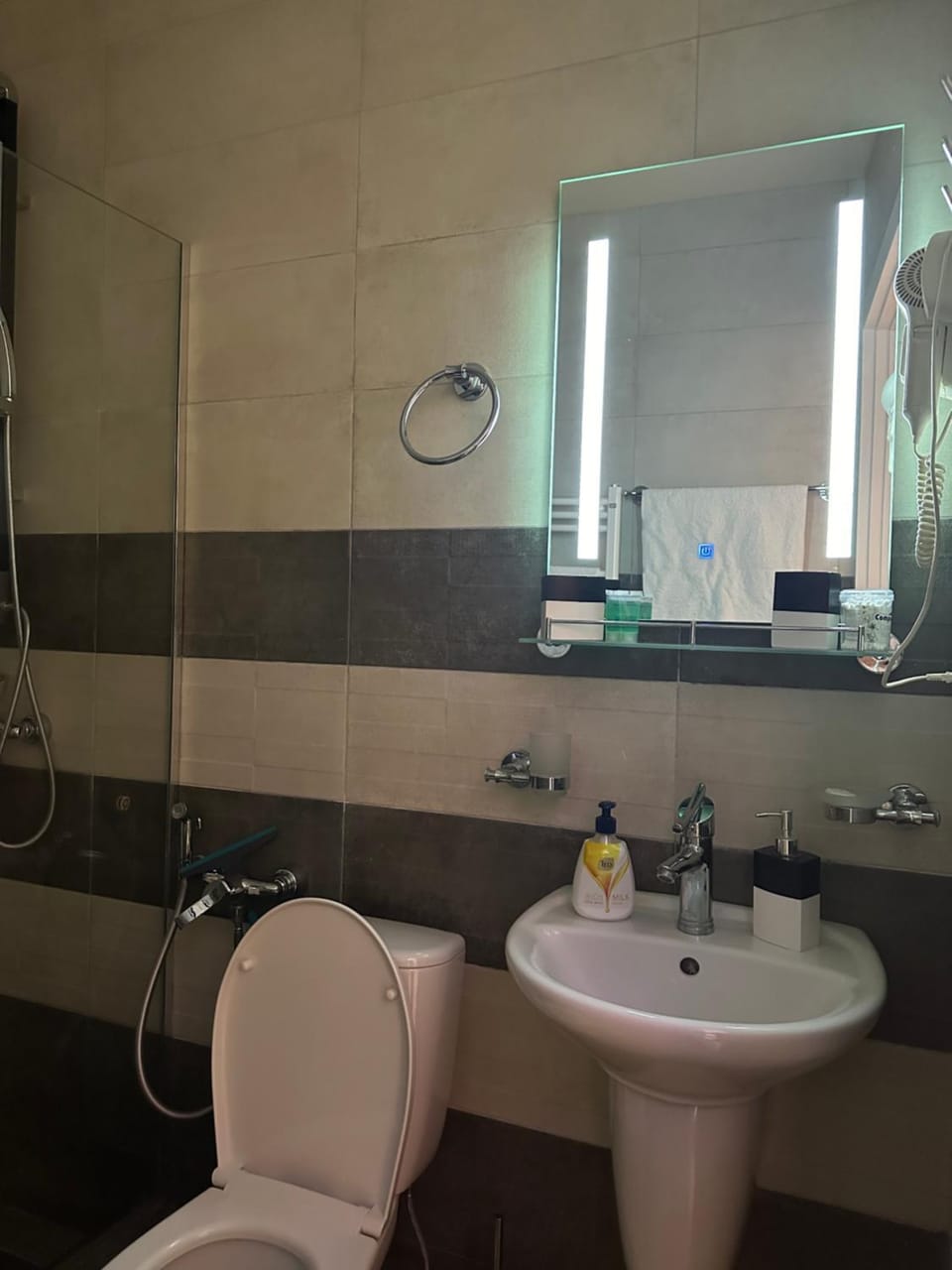 Luxury 6BR 240sqm Apartment in Vere Tower Perfect for Groups in Tbilisi Hotel in Tbilisi, Georgia