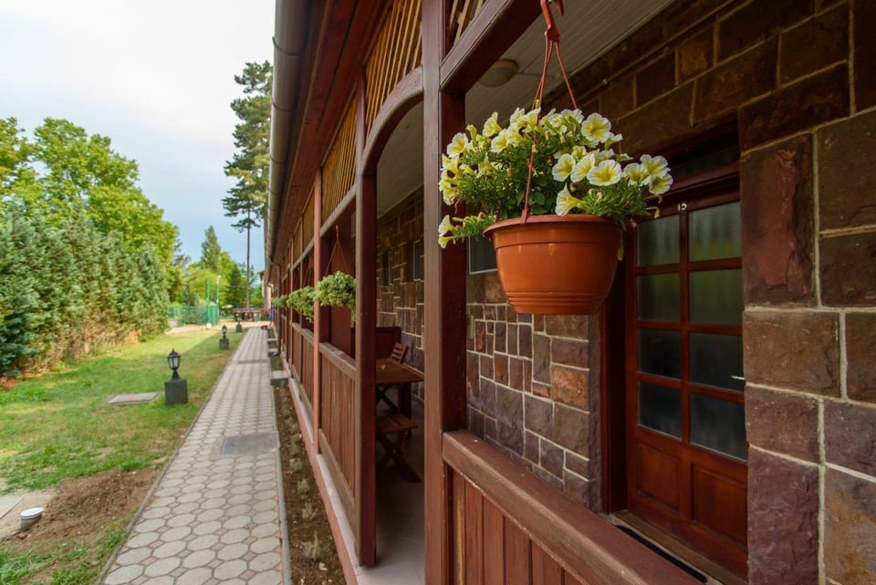 Property building, Garden, Garden view