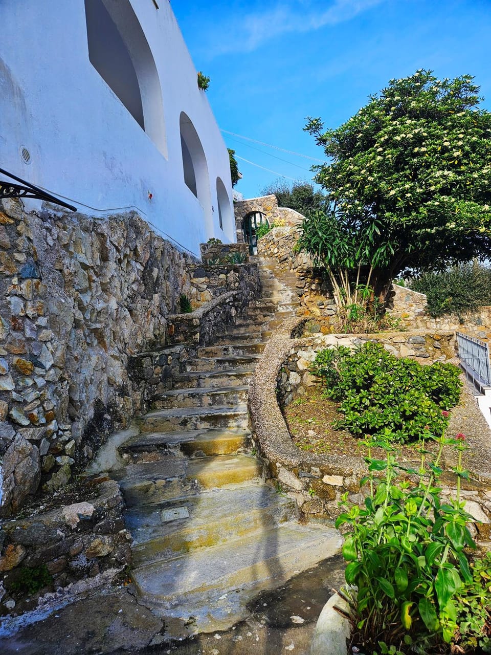 Maridea - Ventodamare Apartment in Ponza