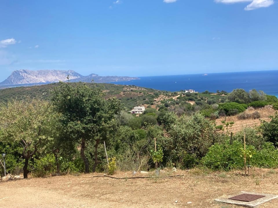 Natural landscape, Sea view
