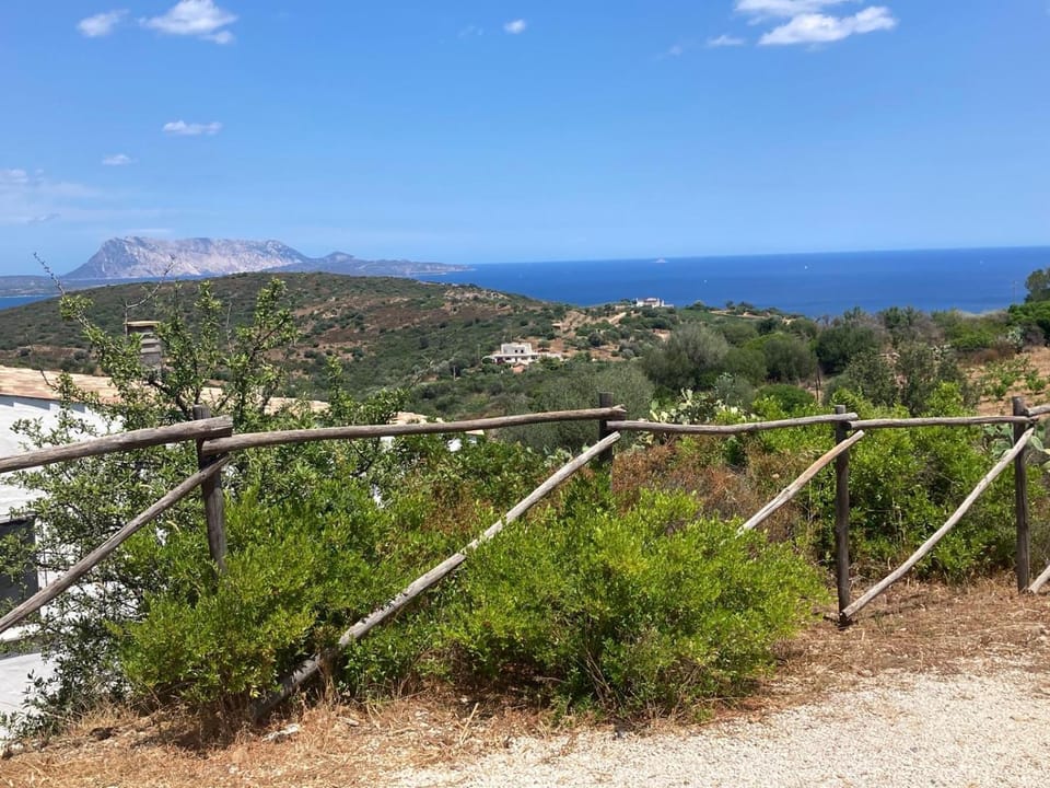 Agrustos Paradise House in Sardinia