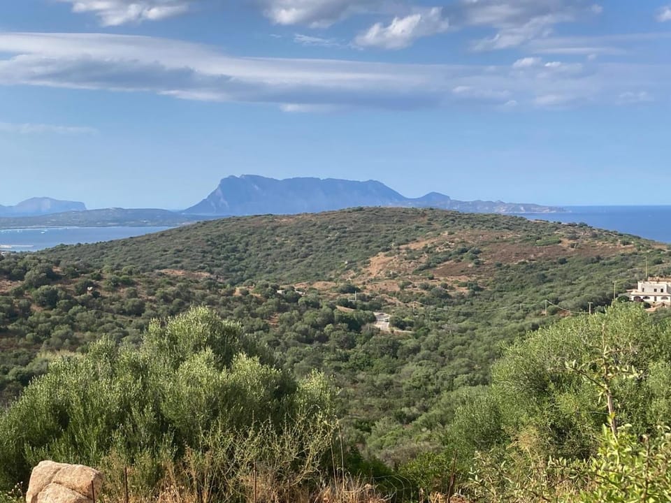 Mountain view, Sea view