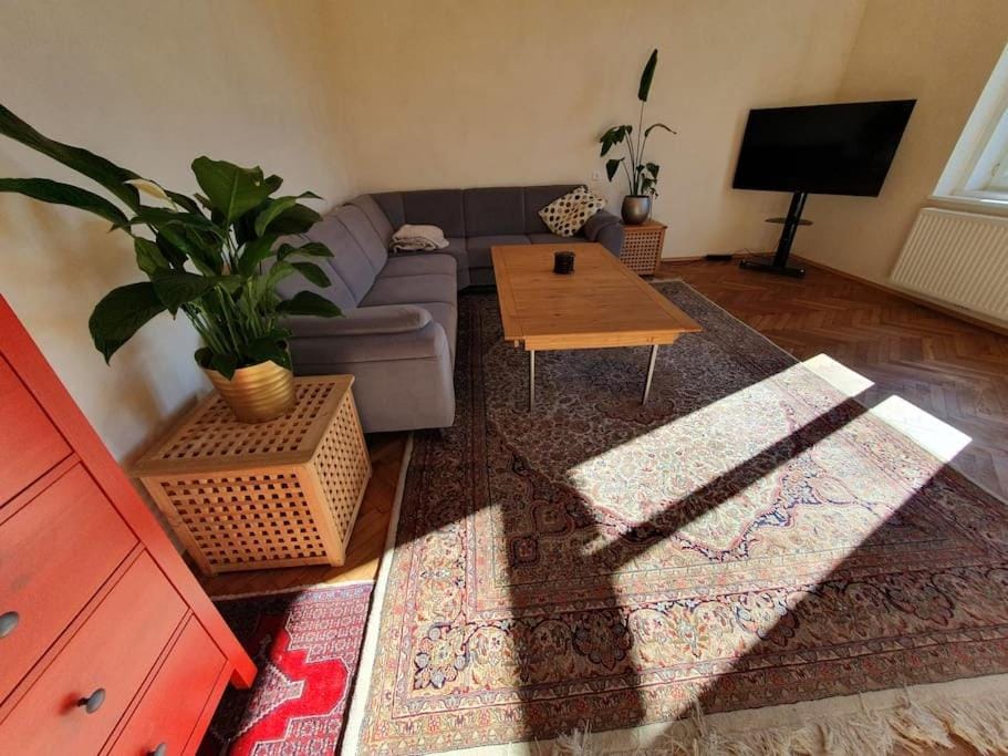 Neu renovierte Altbauwohnung im Herzen von Steyr 100qm Apartment in Upper Austria
