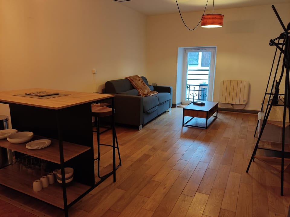 L'orchidée studio proche centre Apartment in Centre-Val de Loire