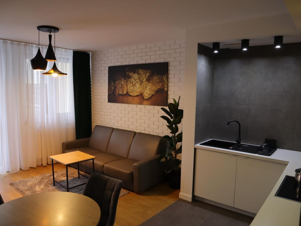 Kitchen or kitchenette, Living room, Seating area